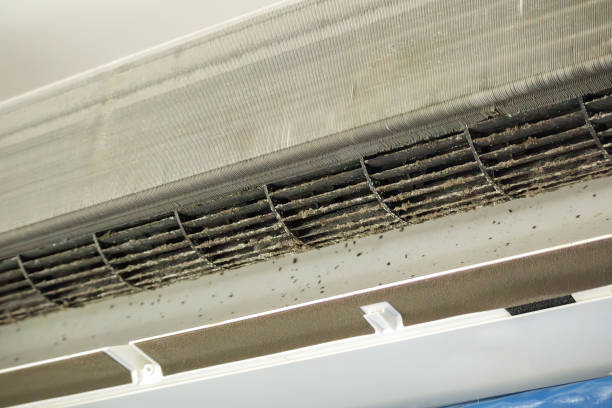 Best Home Air Vent Cleaning  in Gibbon, NE